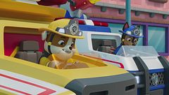 Fire rescue: i cuccioli salvano il grande barbecue