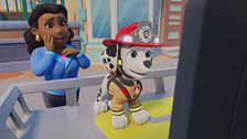 Fire rescue: i cuccioli salvano la Flounder in fiamme/ I cuccioli salvano l'intervista