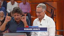Le domande mimate