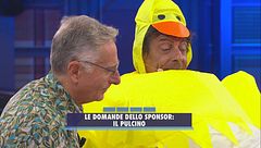 Le domande dello sponsor: il pulcino