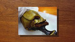 Ep. 1 - L'alieno di Atacama e il sacrificio dei bambini chimù