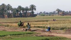 Ep. 2 - Cimiteri sepolti e civiltà perdute