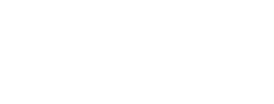 Law & order: i due volti della giustizia 24 logo