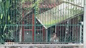 Ladri di case: l'abusiva brasiliana che occupa da 4 anni