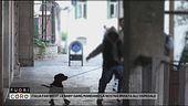 Italia Far West: le baby gang mandano la nostra inviata all'ospedale