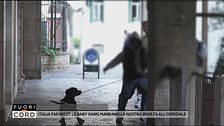 Italia Far West: le baby gang mandano la nostra inviata all'ospedale