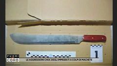 Le aggressioni choc degli immigrati a colpi di machete