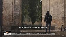 Allarme immigrati: le bande che terrorizzano Parma