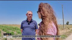 L'Europa regala i soldi allo sceicco (e dimentica gli agricoltori)