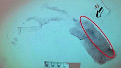 Garlasco, gli errori della stampa