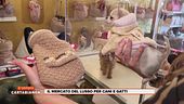 Il mercato del lusso per cani e gatti