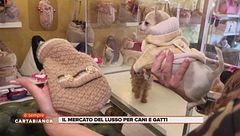 Il mercato del lusso per cani e gatti