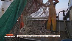 Emergenza micro-plastiche: sono nel cibo e nel corpo umano