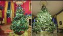 Mauro Corona e l'albero di Natale alla Casa Bianca
