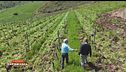 Caro carburanti: agricoltori e pescatori in ginocchio