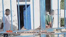 Braccianti: la vita da schiavi nella campagna calabrese