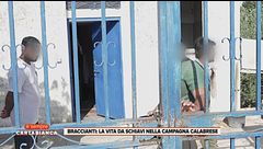 Braccianti: la vita da schiavi nella campagna calabrese