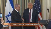 Ecco la pace di Trump, funzionerà?