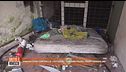 Venezia fuori controllo, i cittadini: "Abbiamo paura, troppi irregolari"