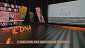 Garlasco: il giallo del DNA dalle unghie di Chiara Poggi