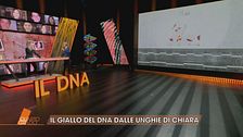 Garlasco: il giallo del DNA dalle unghie di Chiara Poggi