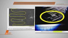 Il giallo di Liliana Resinovich: di chi sono le impronte sui sacchi?