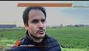 Andrea Sempio: "Lo scontrino è mio, gli altri dicono bugie"