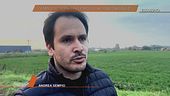 Andrea Sempio: "Lo scontrino è mio, gli altri dicono bugie"