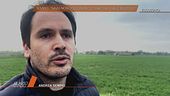 Sempio: "Savu non lo conosco, mai stato alle Bozzole"