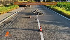 Pierina Paganelli: il figlio aggredito con una mazza?