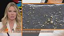 David Rossi: il giallo delle particelle d'oro