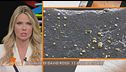 David Rossi: il giallo delle particelle d'oro