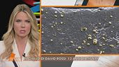 David Rossi: il giallo delle particelle d'oro
