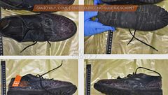 Giallo di Liliana Resinovich: com'è finito lo zirconio sulle sue scarpe?