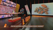 La morte di Antonella Di Ielsi e Sara Di Vita: i dubbi sulla ricina