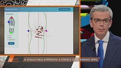 Garlasco: il giallo dell'impronta a strisce sul gradino zero