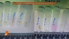 Garlasco: il mistero del DNA di Ignoto 2