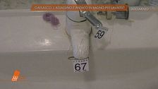 Garlasco: l'assassino è andato in bagno per lavarsi?