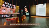 Garlasco: il DNA è da difesa o contaminazione?