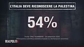 Il sondaggio di Alessandra Ghisleri: l'Italia deve riconoscere la Palestina?