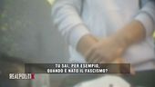 Giovani e fascismo