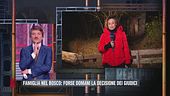 Famiglia nel bosco: gli ultimi aggiornamenti in diretta da Palmoli