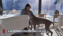 Cortina, in un ristorante pasti per cani a 120 euro