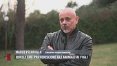 Marco Picariello: "Ai cani non interessa gustare cibi gourmet"
