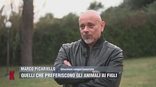 Marco Picariello: "Ai cani non interessa gustare cibi gourmet"
