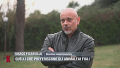 Marco Picariello: "Ai cani non interessa gustare cibi gourmet"