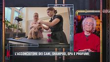 L'acconciatore dei cani, shampoo, spa e profumi