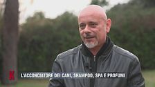 Spa per cani: l'opinione di Marco Picariello, educatore comportamentale
