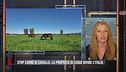 Stop carne di cavallo: l'intervento di Michela Vittoria Brambilla