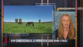 Stop carne di cavallo: l'intervento di Michela Vittoria Brambilla